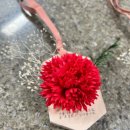 솝앤푸 카네이션 석고 방향제 만들기 DIY 키트 후기