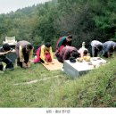 추석.한가위 / 다연만반(多然滿盤)의 보름달 축시(祝詩)? 이미지