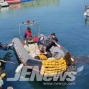 대한민국특수임무유공자회제주특별자치도지부 이미지