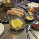 술도야지
