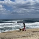 소금강스파 이미지