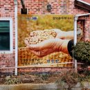 설악순두부 이미지