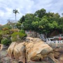 고향꽃화원 | 샤먼(하문) 구랑위섬 투어