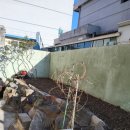 신안동2 이미지