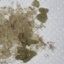 관양동물병원 이미지