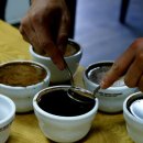 칼디커피 이미지