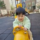 꿈터어린이집-놀이터 이미지