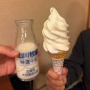 벨 헤이는 밤 | 하코다테 3박4일 야경부터 러닝 쇼핑까지 완벽 동선 여행기