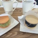 더마카롱 이미지