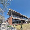 국제대학교 | 평택 국제대학교 벚꽃터널 드라이브 후 투썸플레이스 평택석정점 방문후기