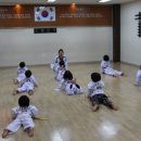 연세강산태권도 이미지