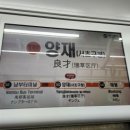 민들레 행정사 이미지