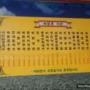 메밀촌막국수 이미지