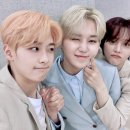 제롬 이미지