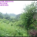 송단제 이미지