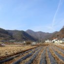 금관2리 이미지