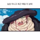 수포교 이미지