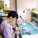 메디칼치과기공소 이미지