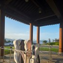 CC카써비스 | 여수 경도cc 세이지우드 주말 골프 라운딩 콜밴 대형택시 기사포함 렌트카