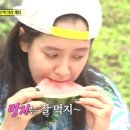 수우 이미지