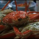 제일수산 이미지