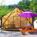 자연에 머물다 이미지