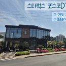 [포항카페]포항에서 예쁜 뷰를 찾는다면, 스타벅스 포항포스코 DT점 내돈내산후기