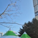 게임멀티샵 | [nc다이노스 타운홀] 진짜_최종_시즌찐막! 2025 타운홀 후기