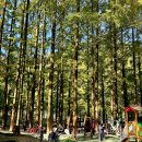 장태산자연휴양림 이미지