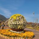 신월선착장 이미지