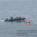 여전히 제주 이미지