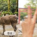 원시역 이미지