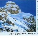신금자 이미지