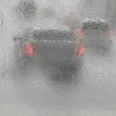 바위섬횟집 | 충남, 뜨끈이집/ 덕산 커피/ 남당항 대하축제(바위섬 횟집)/ 뽀르또 커피