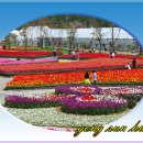 늘푸른공원4 이미지