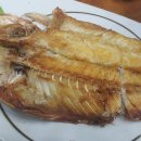 제주도 푸른밤 이미지