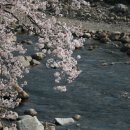 지리산명성농원 이미지