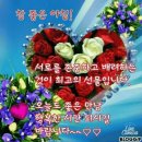 마음심