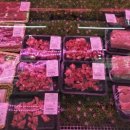 장안축산 이미지