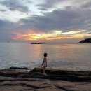 군도9호 | 변산, 변산자연휴양림 ⑴ [2024년 6월 22일]