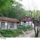 묘적선원 Daum카페