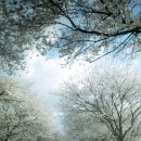 위례성로 이미지