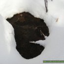 산토끼옹달샘 이미지