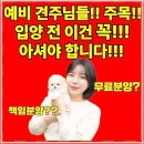 기쁨을 키우는 가족 원예생활 | 대구강아지분양 기쁨을 주는 가족