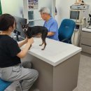 샘터동물병원 이미지