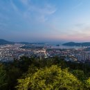 진영메디칼 네이버블로그
