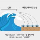 대성보세