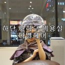다엘헤어 하단점 이미지