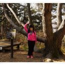 카바티나 이미지