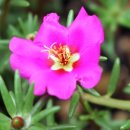 천구농장 이미지